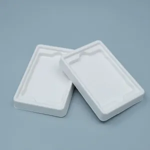 Eco-Friendly iPad Biodegradable Bamboo Pulp Inner Tray