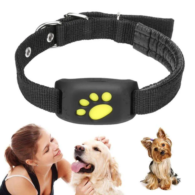 Never Lose Track: GPS Dog Collar Tracker!