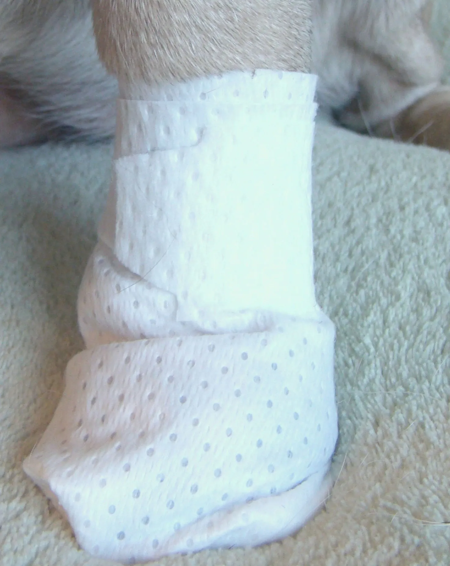 PawFlex™ MediMitt Disposable Bandages